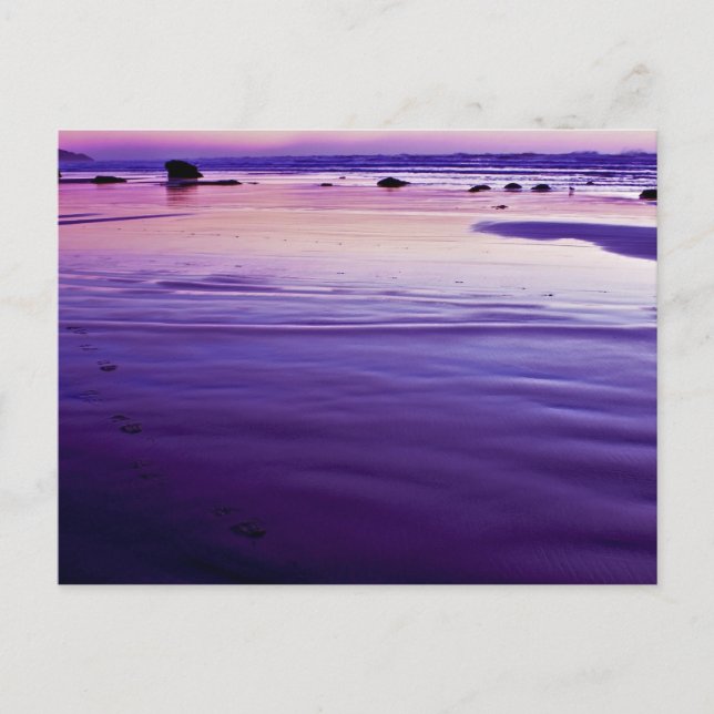 Sweet Dreams - Bandon, Oregon Vykort (Framsida)