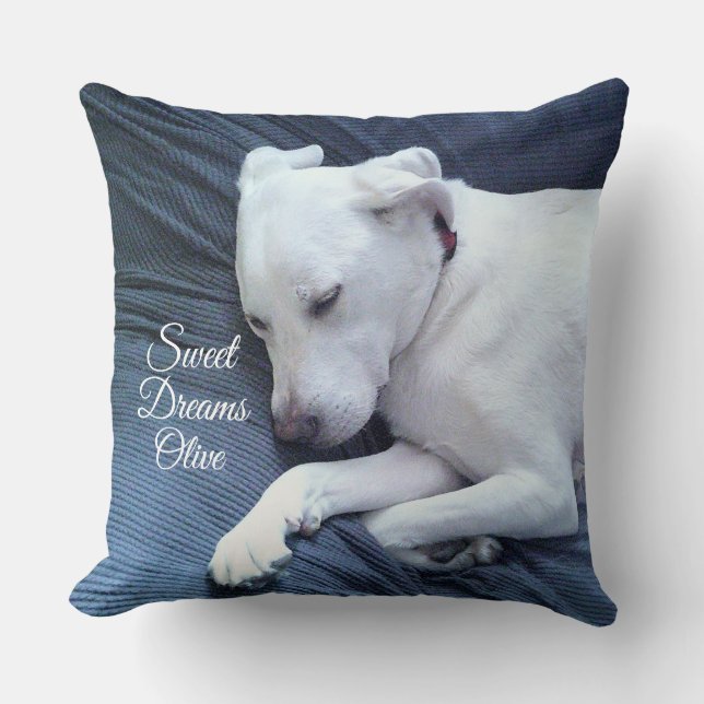 Sweet Dreams Cute White Labour Retriever Mix Hund Kudde (Framsida)