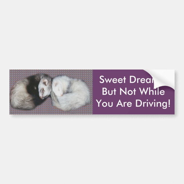 Sweet Dreams Ferrets Bildekal (Framsidan)