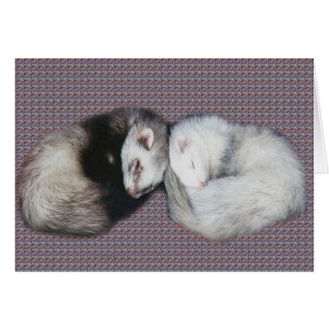 Sweet Dreams Ferrets Hälsningskort (Framsidan Horizontal)