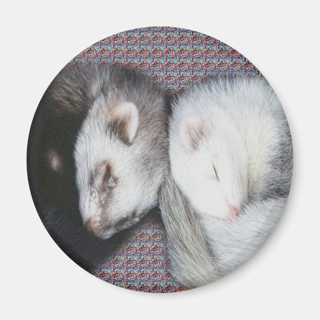 Sweet Dreams Ferrets Magnet (Framsidan)
