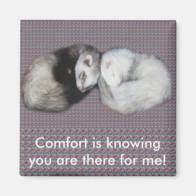 Sweet Dreams Ferrets Magnet (Framsidan)
