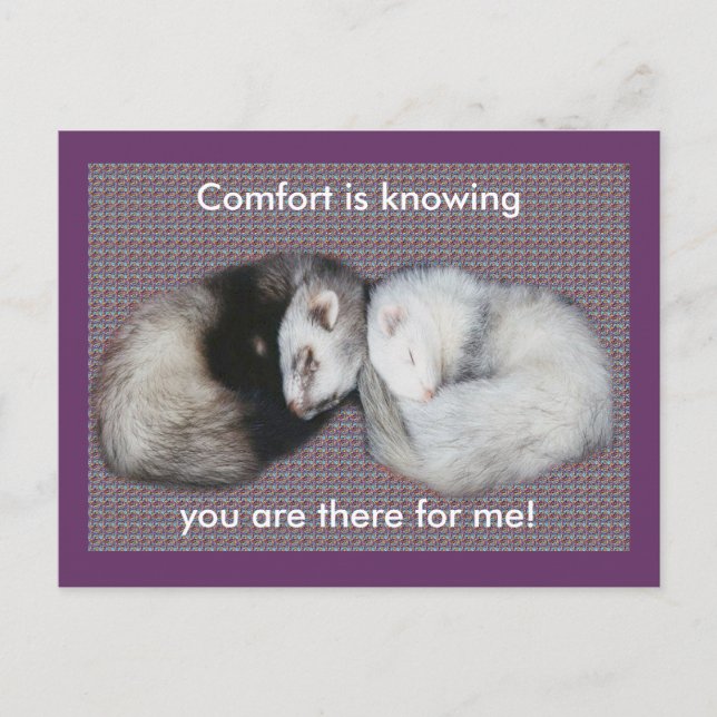 Sweet Dreams Ferrets Vykort (Framsida)