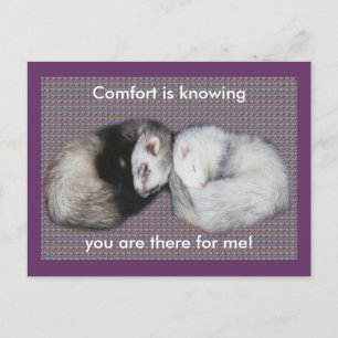 Sweet Dreams Ferrets Vykort