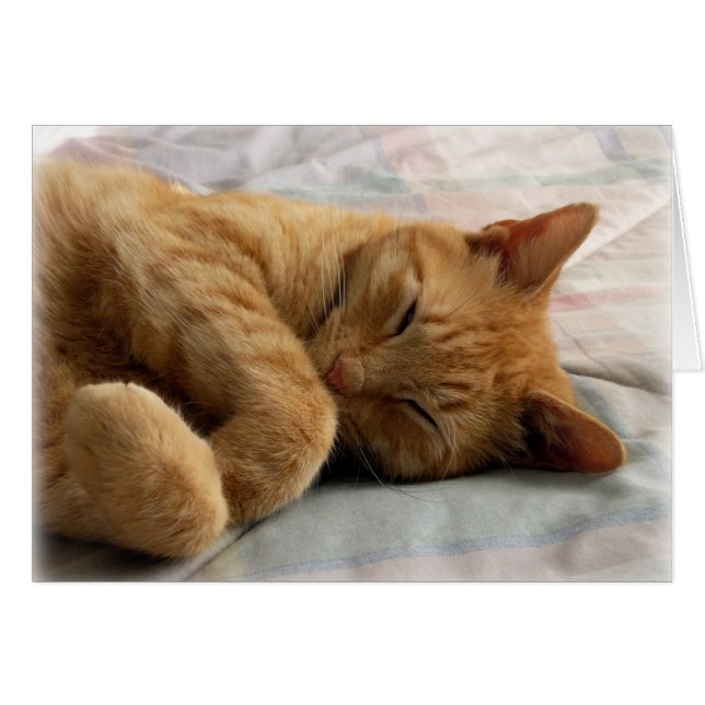 Sweet Dreams Hälsningskort (Framsidan Horizontal)