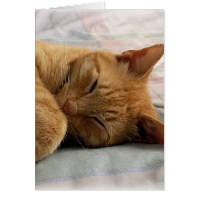 Sweet Dreams Hälsningskort (Framsidan)