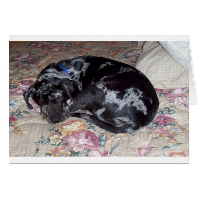 Sweet Dreams Hälsningskort (Framsidan Horizontal)