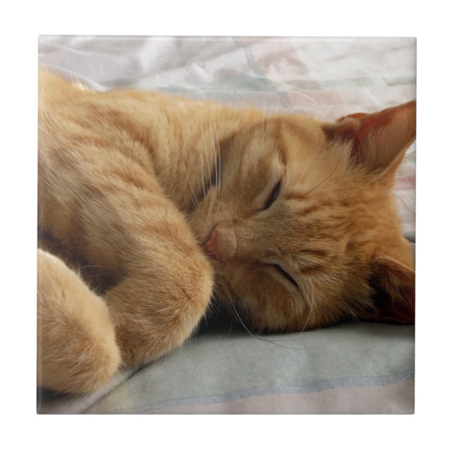 Sweet Dreams Kakelplatta (Framsidan)