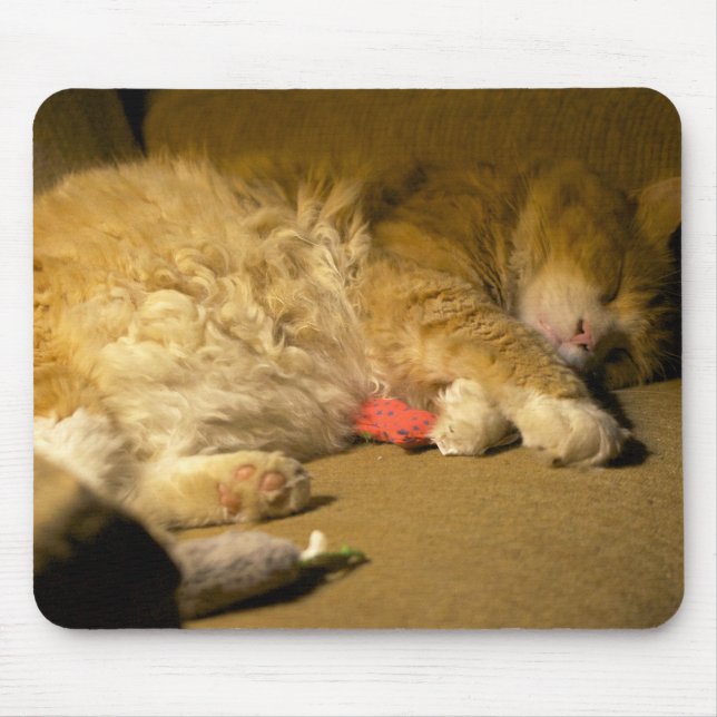 Sweet Dreams, Kattunge Musmatta (Framsidan)