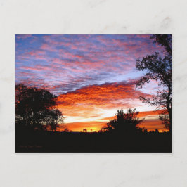 Sweet Dreams Kodi Vykort