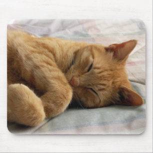 Sweet Dreams Musmatta