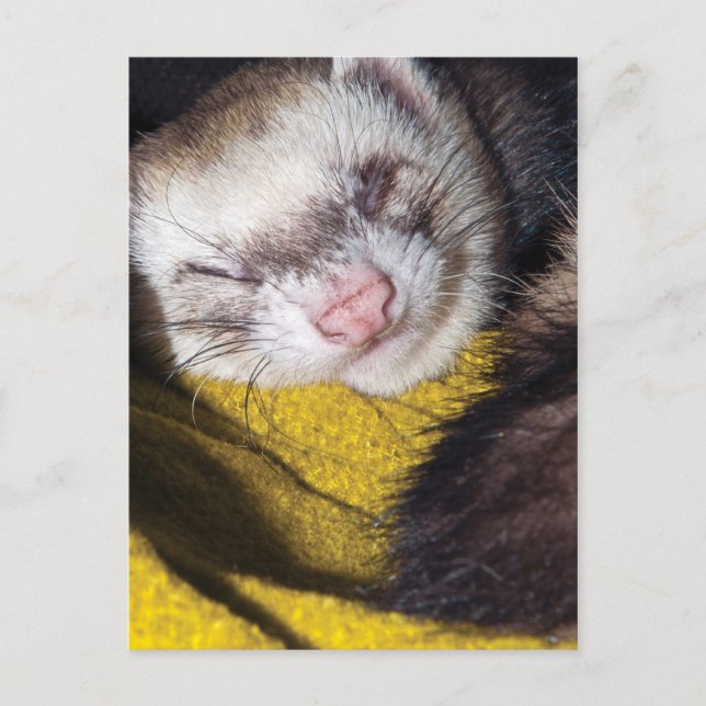 Sweet Dreams Vykort (Framsida)