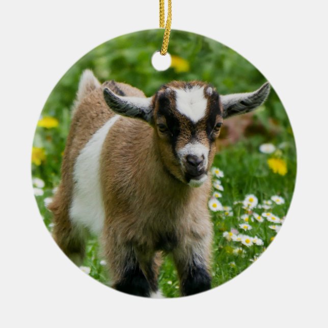 Sweet Dwarf Goat Kid i blommor Julgransprydnad Keramik (Framsidan)