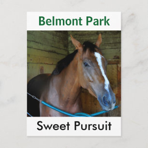 Sweet Exit by Posse Vykort