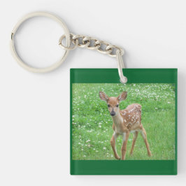 Sweet Fawn