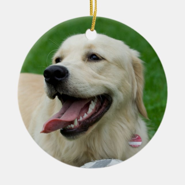 Sweet Friendly Labrador Julgransprydnad Keramik (Framsidan)