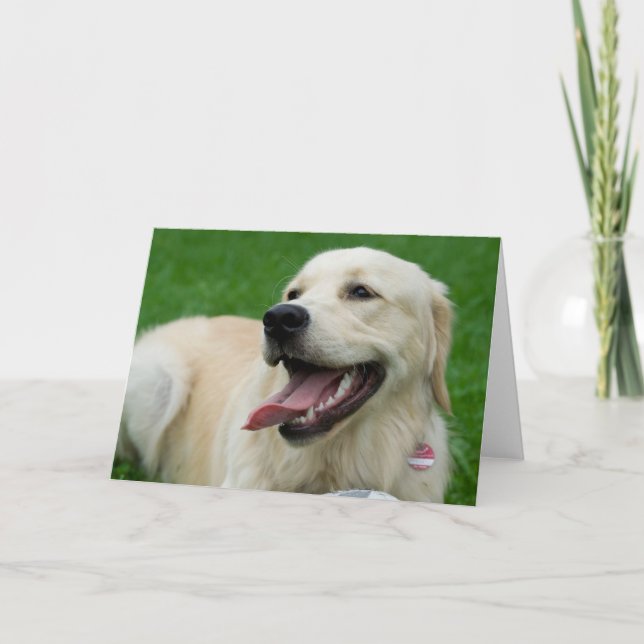 Sweet Friendly Labrador Kort (Framsida)