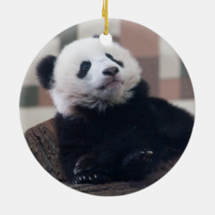 Sweet Giant Panda Baby Julgransprydnad Keramik