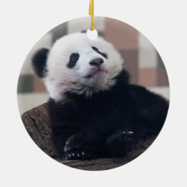 Sweet Giant Panda Baby Julgransprydnad Keramik (Baksidan)