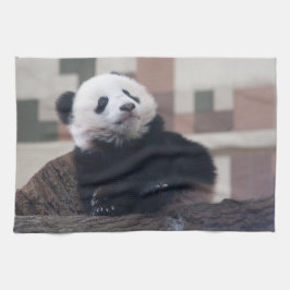Sweet Giant Panda Baby Kökshandduk