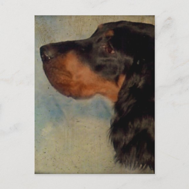 Sweet Gordon Setter Postcard Vykort (Framsida)