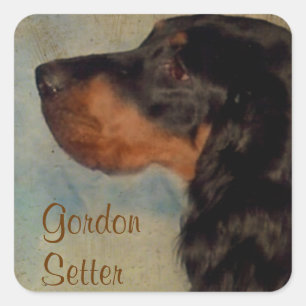 Sweet Gordon Setter Sticker Fyrkantigt Klistermärke