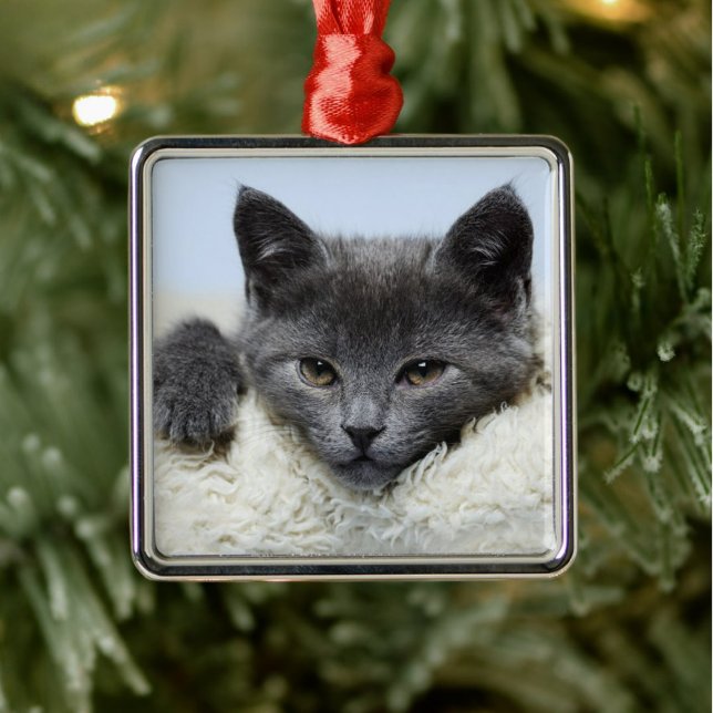 Sweet Grått Cat Ansikte Ornament (Skapare uppladdad)