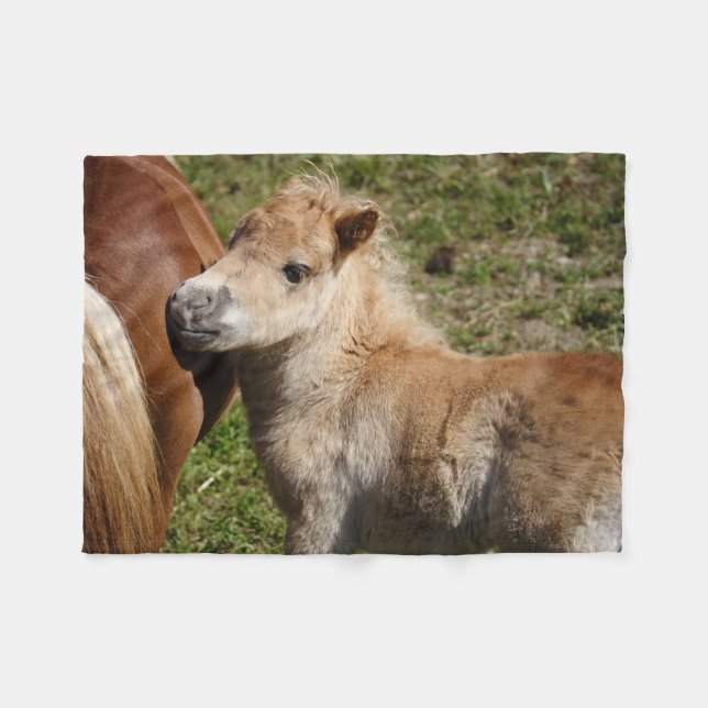 Sweet Haflinger Foal Fleecefilt (Framsidan (Horisontell))