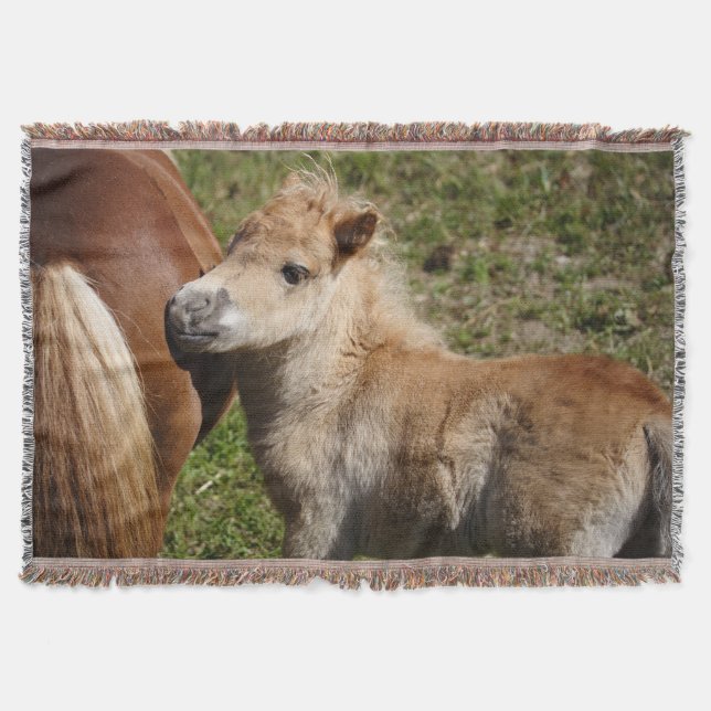 Sweet Haflinger Foal Mysfilt (Framsidan)