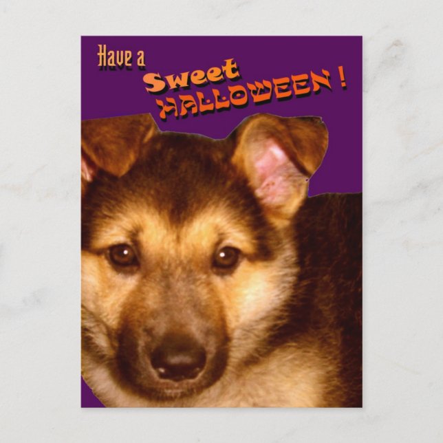 Sweet Halloween-vykort Vykort (Framsida)