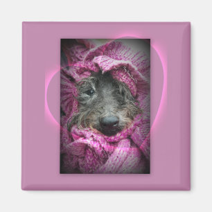 Sweet Heart Magnet