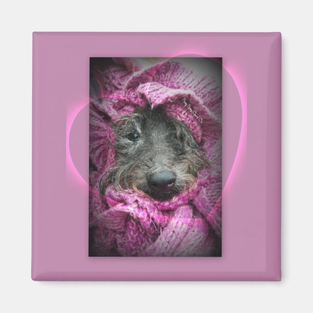 Sweet Heart Magnet (Framsidan)