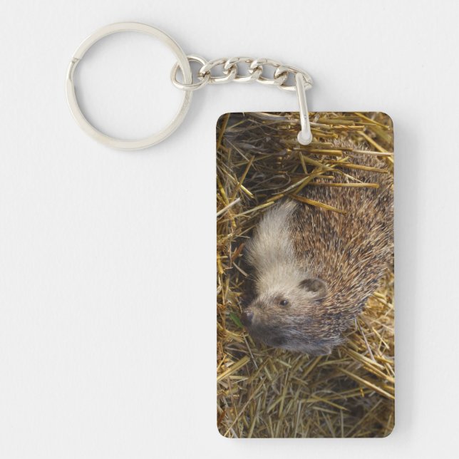 Sweet Hedgehog i Stubble Fält (Framsidan)