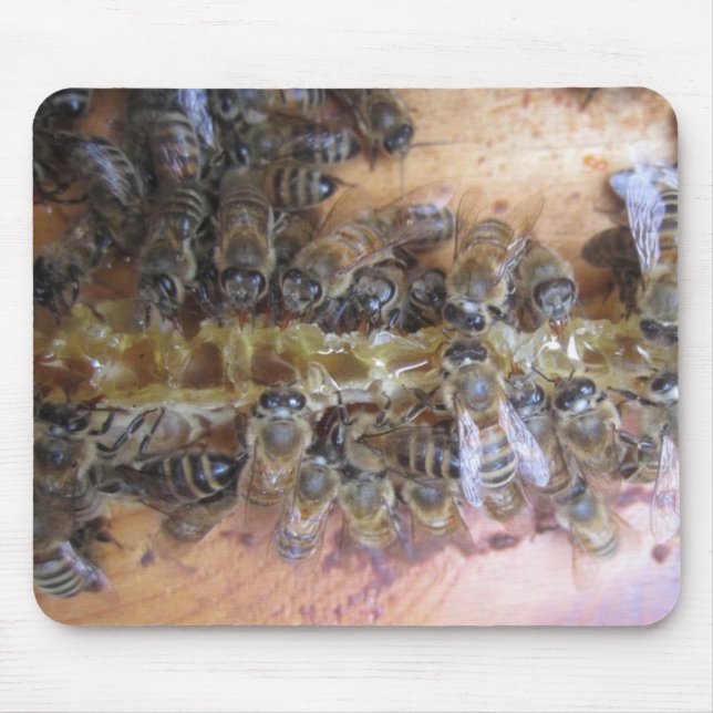 Sweet honey Bee Mousepad Musmatta (Framsidan)