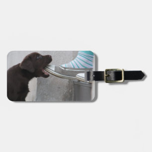 Sweet Hungrigare Brown Labrador Puppy Bagagebricka