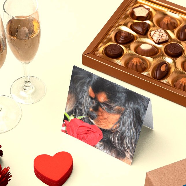 Sweet Kärlek Cavalier Kung Charles Spain Hälsningskort (Skapare uppladdad)