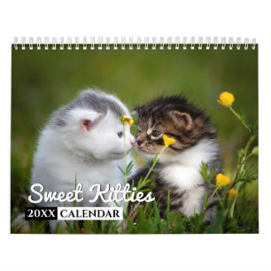 Sweet Kattunge 2022 Photo Wall Calendar Kalender