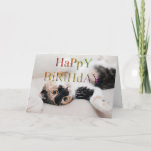 Sweet kattunge grattis på födelsedagen kort