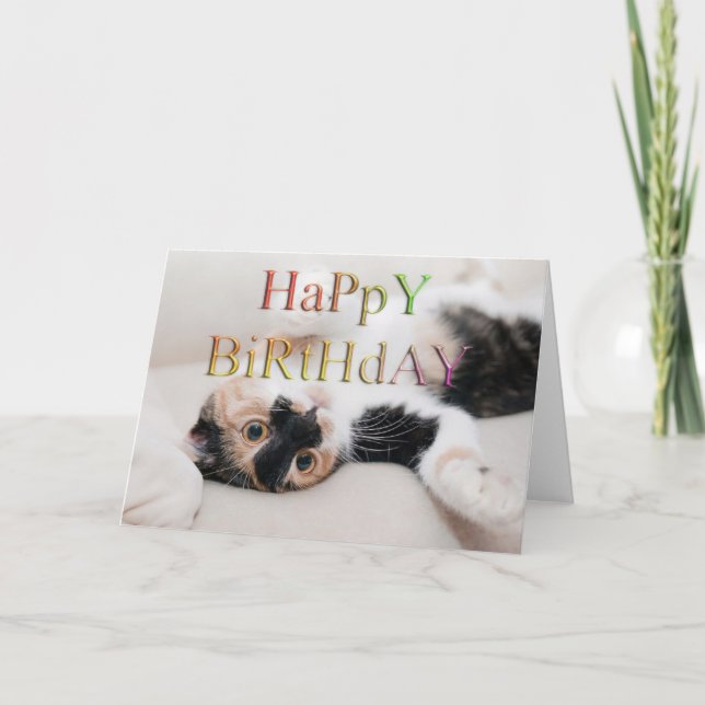 Sweet kattunge grattis på födelsedagen kort (Framsida)