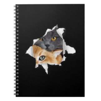 Sweet Kitten Couple | Funny Cat Lover Gift Anteckningsbok