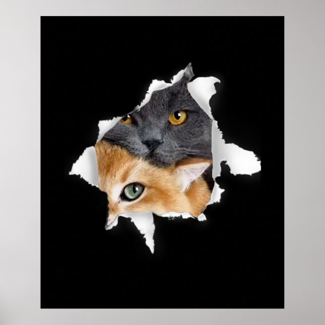 Sweet Kitten Couple | Funny Cat Lover Gift Poster (Framsidan)