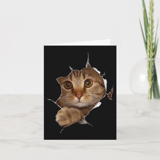 Sweet Kitten Torn Trasa - Funny Cat Lover Cat Owne Kort (Framsida)