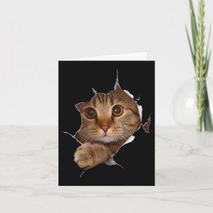 Sweet Kitten Torn Trasa - Funny Cat Lover Cat Owne Kort