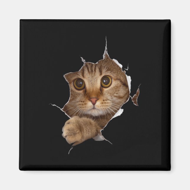 Sweet Kitten Torn Trasa - Funny Cat Lover Cat Owne Magnet (Framsidan)