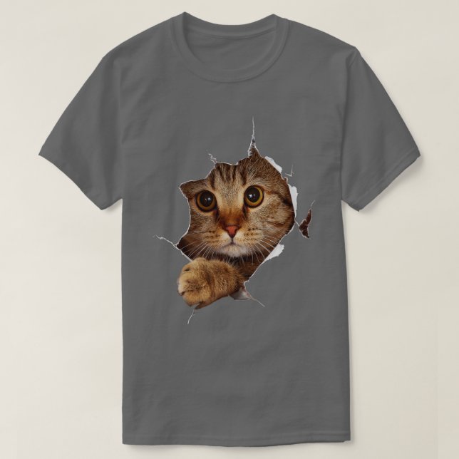 Sweet Kitten Torn Trasa - Funny Cat Lover Cat Owne T Shirt (Design framsida)