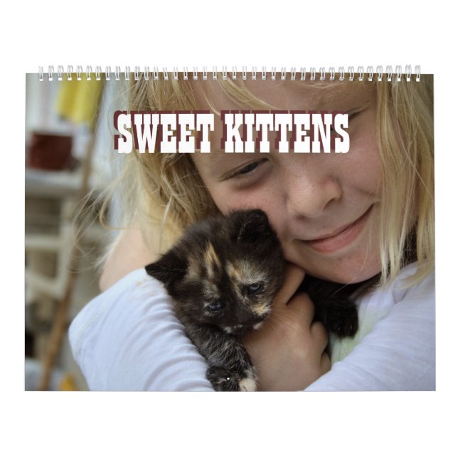 Sweet Kittens 2024 Katzen Kalender (Omslag)