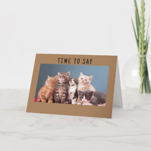 "SWEET KITTENS" GRATTIS PÅ FÖDELSEDAGEN-KORT KORT