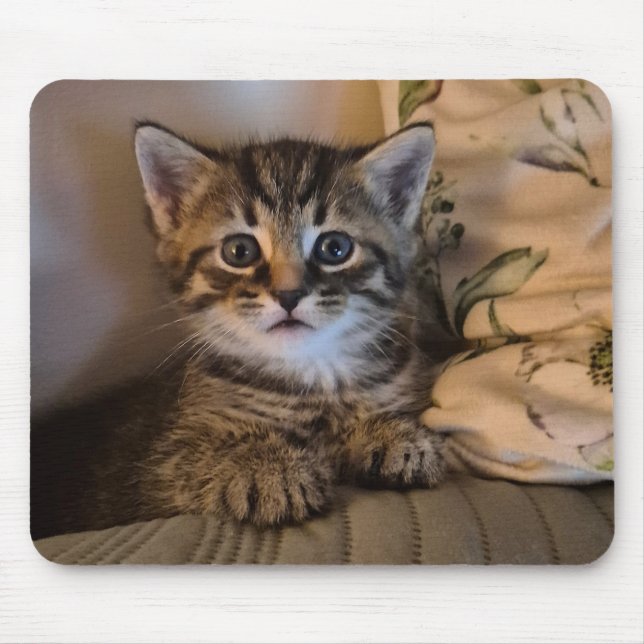Sweet kitty musmatta (Framsidan)