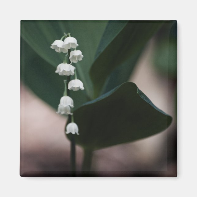 Sweet Klockor Magnet (Framsidan)