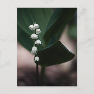 Sweet Klockor vycard Vykort